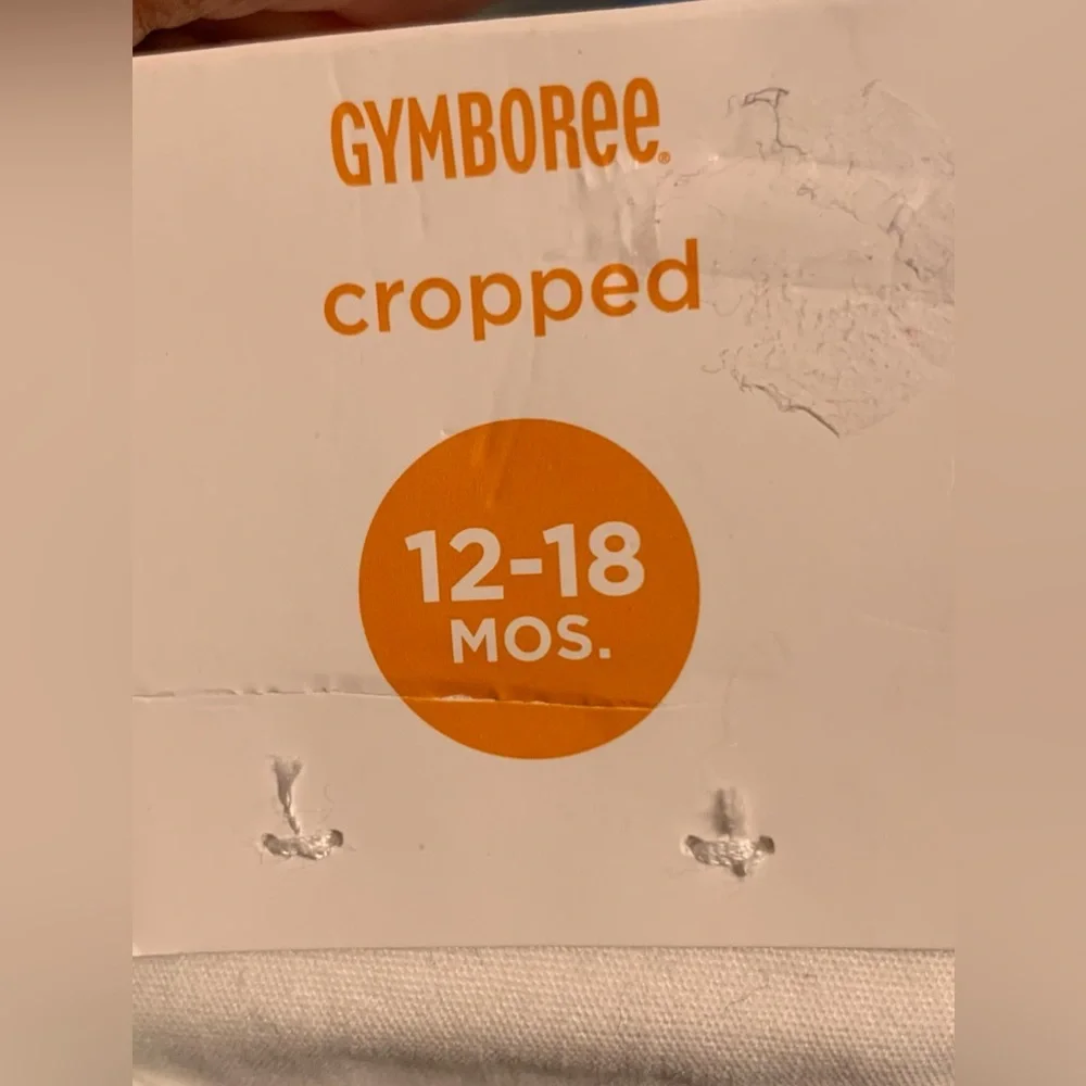 NWT Gymboree Girls Ruffled Shirt and Pants
